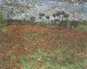 Vincent Van Gogh, Field with Poppies (nn04)